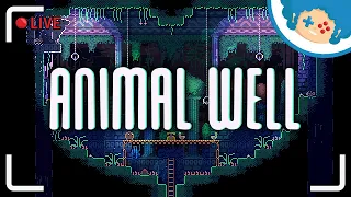 ANIMAL WELL PL #6 LIVE | Kiedyś: łoniaki. Teraz: jajka. Co następne? Parówki? :v | Zapis LIVE