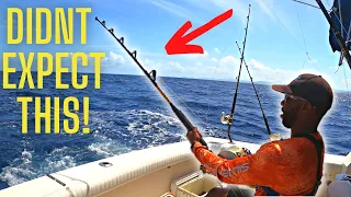 Deep Sea Fishing In St Lucia! | Trolling For MAHI Offshore! {Sandals}