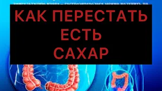 Как перестать есть сахар и пустые углеводы