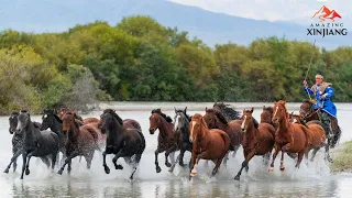 Live: Join CGTN in Zhaosu grassland and enjoy the view of horses galloping along the river. 昭苏天马