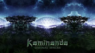 Kaminanda - Liminal Spaces [Full Album]