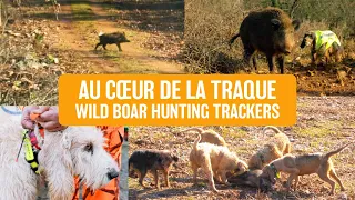 Dans la traque 🌳🐗 Wild boar hunting - L'appel du sanglier