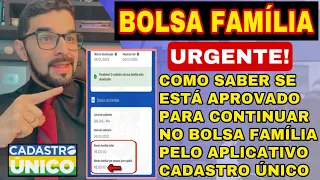 AGORA SIM! COMO SABER SE VOCÊ VAI CONTINUAR NO BOLSA FAMÍLIA PELO APP DO CADASTRO ÚNICO.