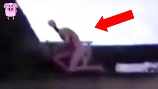 5 Unexplainable Monsters Captured On Film