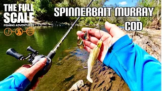 Spinnerbait Murray Cod | The Full Scale