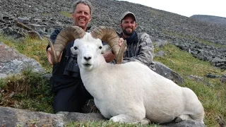 Outdoor Quest TV NWT Dall Sheep 2011
