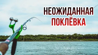 Эту поклёвку мы не ожидали! Рыбалка на фидер в Казахстане! Язь!Лещ!