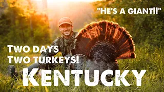 My BIGGEST turkey EVER!! (2 hunt episode)