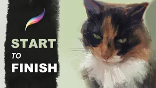 Procreate Tutorial An Artists Guide: From IPAD Drawing To Final Print. How I Painted This Cat.