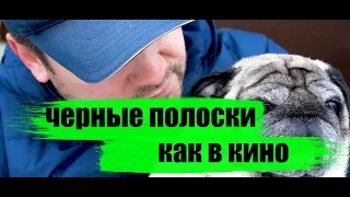 Как сделать киношные полоски в Adobe Premiere.