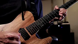 Saosin - I Can Tell There Was An Accident Here Earlier - Beau Burchell Guitar Play Through