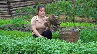 Make a coop for ducks to lay eggs, Take care of garden vegetables & cucumbers