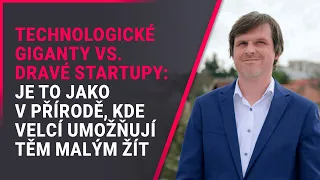 Technologické giganty vs. dravé startupy: Je to jako v přírodě, kde velcí umožňují těm malým žít