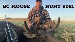 BC Moose Hunting 2021