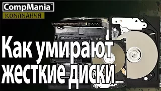 Как умирают жесткие диски и как выбрать новый HDD