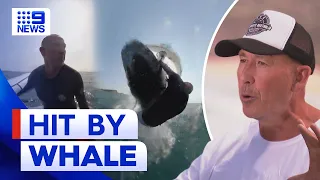 Sydney wind surfer gets wiped out by whale | 9 News Australia