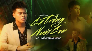 GÀ TRỐNG NUÔI CON - THÁI HỌC X NGUYỄN VĨ | LYRICS VIDEO