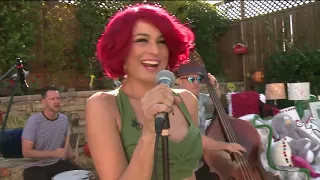 Save Ferris  on Fox 5 San Diego 10/26/17