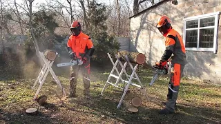 Пилы Stihl MS 230 231 в сравнении