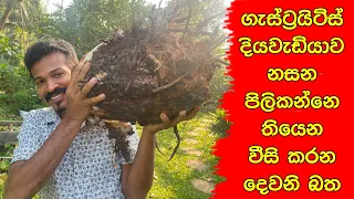 දෙවියනේ අපේ මිනිස්සු නොදන්න කමට කවදාවත් කාල නැනි කෙසෙල් අල කමු