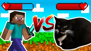 Maxwell Cat Vs Steve (Maxwell Cat vs Borzoi Dog)
