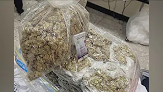 CPB officers intercept hundreds of pounds of marijuana | NBC4 Washington