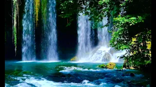 Enchanted Waterfall: Serene Forest Ambience #meditation #study