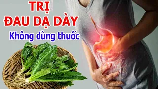 Bài thuốc TRỊ ĐAU DẠ DÀY, TRÀO NGƯỢC DẠ DÀY, Viêm loét dạ dày KHÔNG DÙNG THUỐC