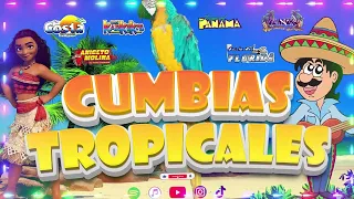 CUMBIAS TROPICALES MIX✨🍉LOS KARKIKS, TROPICAL FLORIDA, ACAPULCO TROPICAL🎷CUMBIAS VIEJITAS