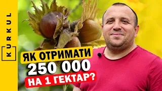 Отримав гроші від держави на сад фундука та власну пасіку. Вадим Бортник | Я — Куркуль