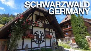 Города Германии | Шварцвальд | Nature of Germany | Schwarzwald 2020