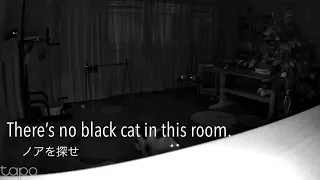 There’s no black cat in this room. ノアを探せ