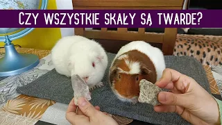 Czy wszystkie skały są twarde? (przyroda - lekcja dla klasy 4 online)