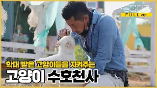 [풀버전] 50마리 고양이들을 위해 천국을 만든 사나이가 있다? 사랑이 넘치는 바닷가 고양이네🐱 | 동물극장 단짝 EP18 | KBS 220528 방송