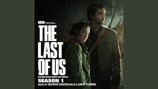 The Last of Us (Vengeance)