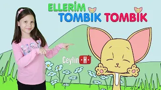 Ceylin-H - Ellerim Tombik Tombik (Animation) Comptines Et Chansons  Kinderlieder Canzoni per bambini