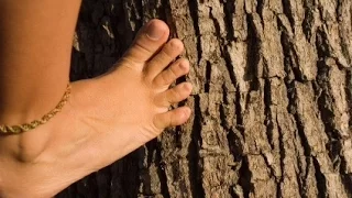 How to climb trees without branches - To climb tree like a Tarzan