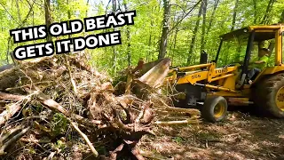 Clearing Trees and Burning Stumps With Old Backhoe