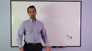 The most important muscle in your body!