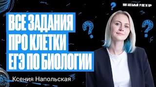 Все задания про клетку из ЕГЭ 2023 по биологии | Ксения Напольская