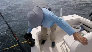 Trolling the Ditch Tampa Bay Shipping channel