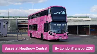 Buses at Heathrow Central