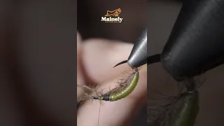 MOST Relistic Caddis Larva!