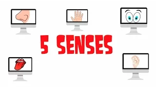 Five Senses Quiz