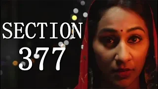 SECTION 377