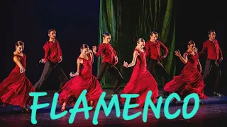 Arrebato Flamenco : Pasión en Movimiento 💃