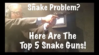 Snake Problem? Here Are The Top 5 Snake Guns!