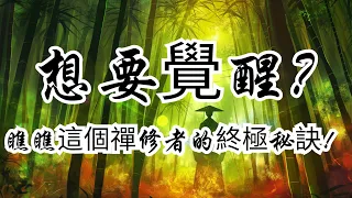 三年修行無果，Koshu在絕望中頓悟（優化版） | 奧修 | 覺醒 | 禪宗頓悟 | 靜心 | 自我放下 | 絕望與頓悟 | 靜坐冥想 | 佛陀 | 宗教故事 | 靈性探索 | 意識與無意識 | 禪修