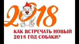 КАК ВСТРЕЧАТЬ НОВЫЙ  2018 ГОД СОБАКИ?