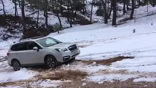 Subaru Forester snowy hill climb